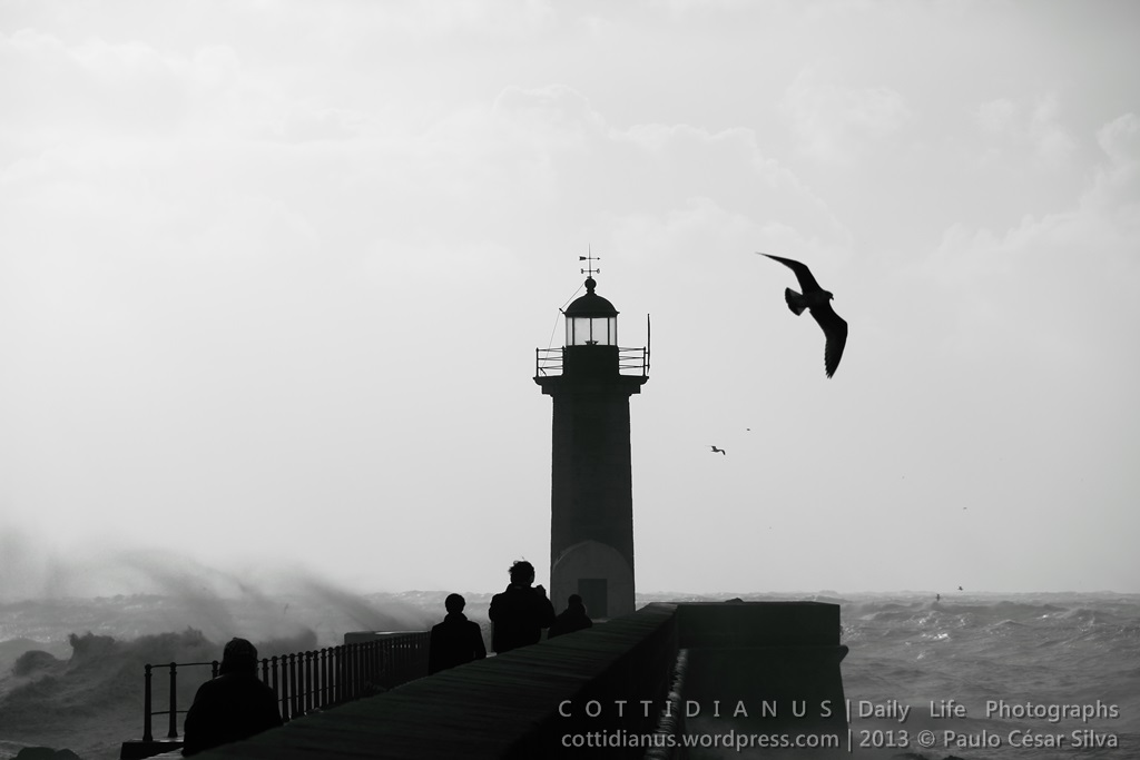 "Take a Look @ Lighthouse" by Paulo César Silva