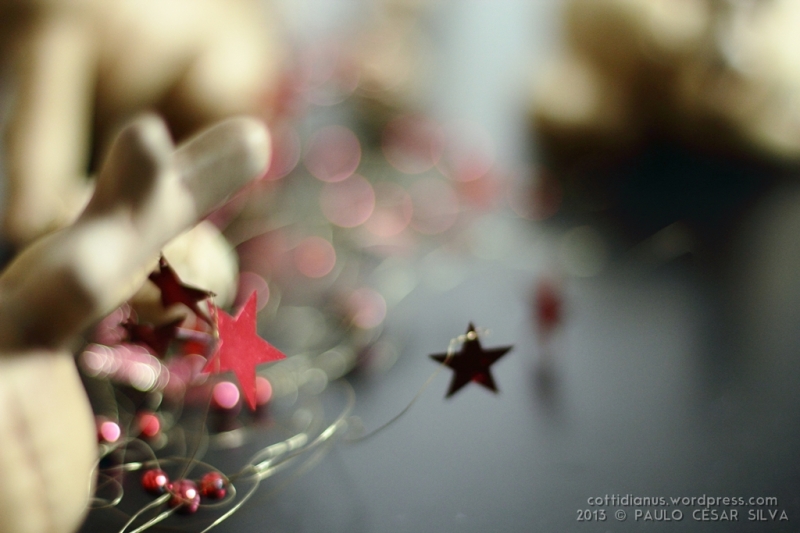 "Christmas Stars" by Paulo César Silva